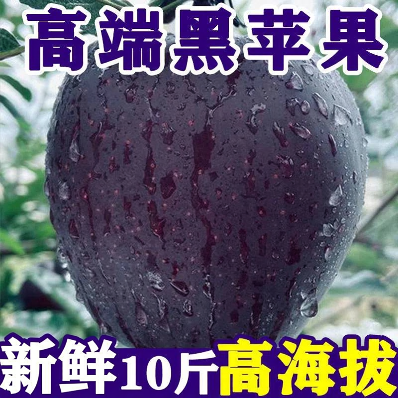 正宗新鲜黑卡苹果水钻当