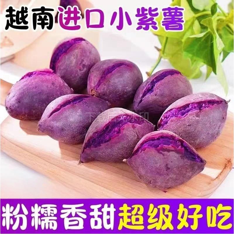新鲜越南小紫粉糯香甜番