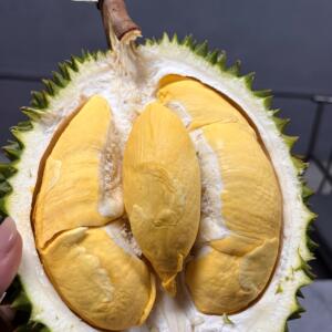 【喵小喵·顶榴故事】泰