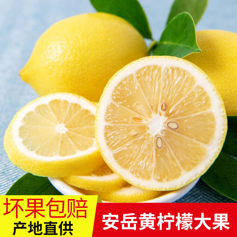 黄柠檬重庆尤力克发3/5斤