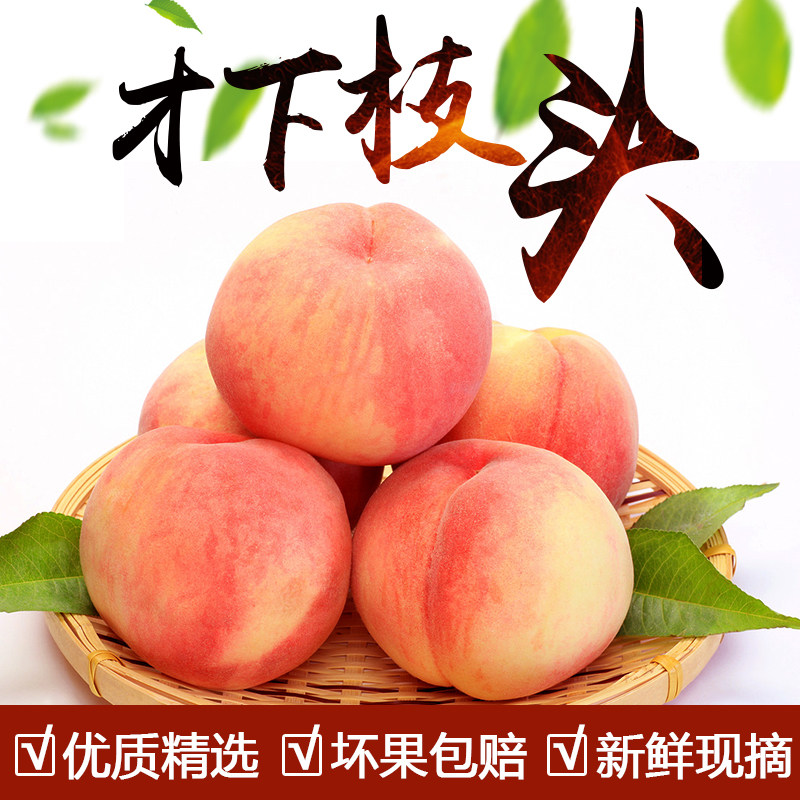 蒙阴蜜桃八号大红桃甜脆