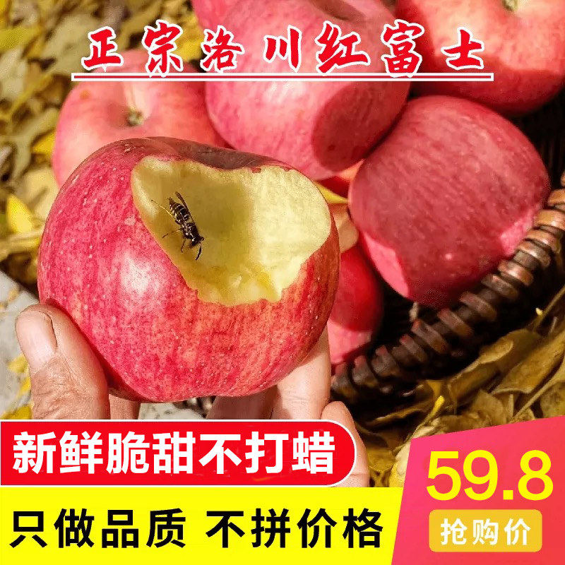 【包脆甜】正宗陕西延安