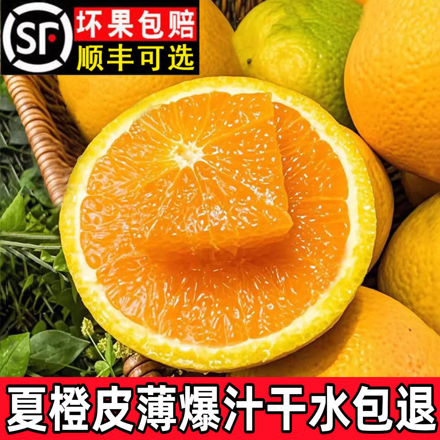 夏橙秭归夏季当季现摘湖