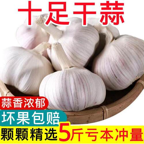 2026年5斤干大蒜头果河南