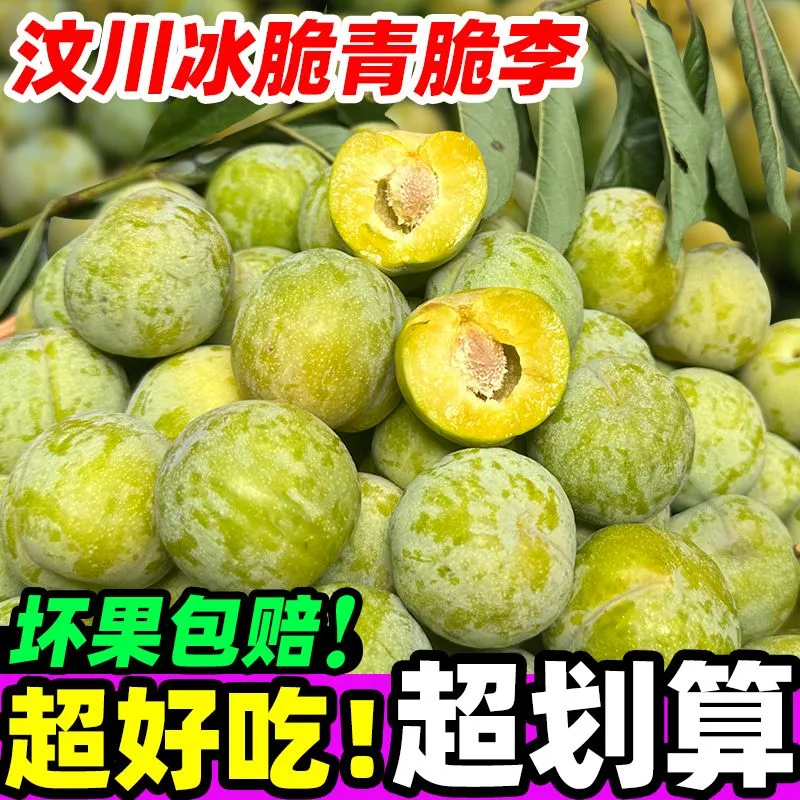 【脱骨李】青脆李四川应