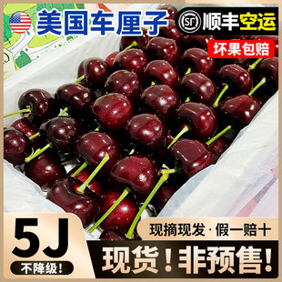 现货美国进口大樱桃新鲜水果包邮5j4jjjj桑提娜智利大樱桃3斤礼盒