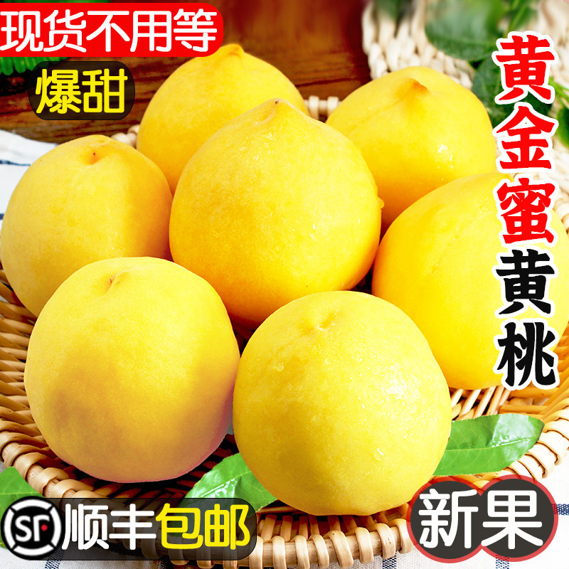 现货黄桃5斤新鲜水果时令