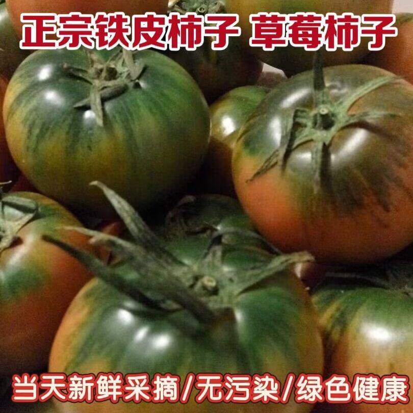 丹东东港铁皮西红柿子油