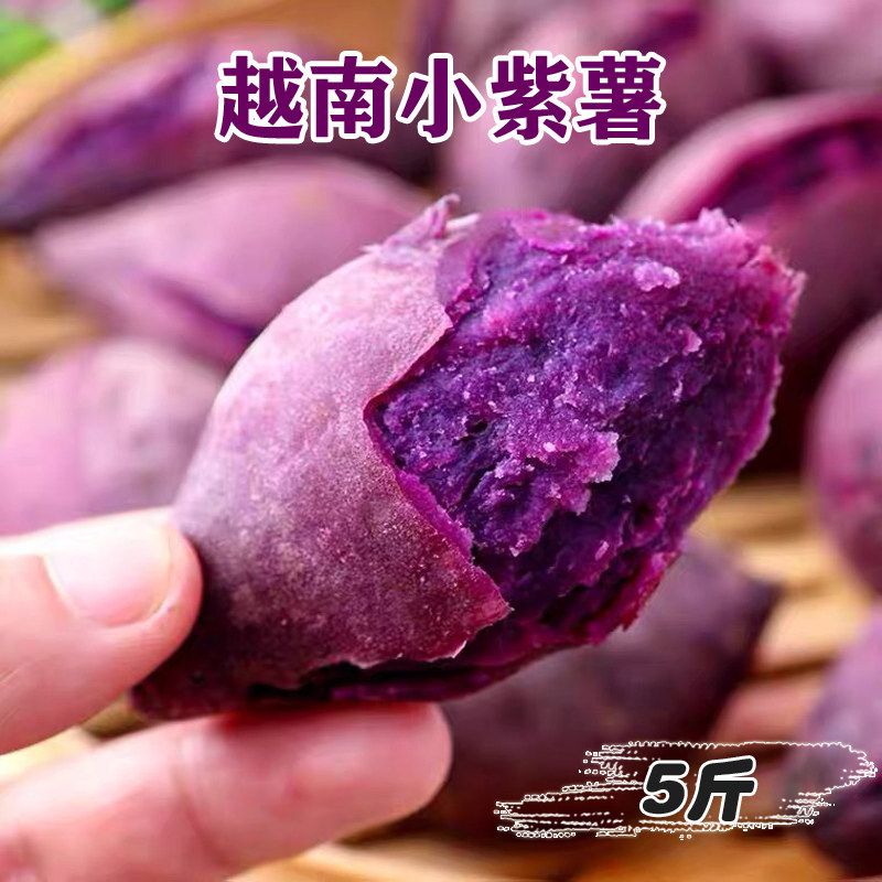 2026年当季紫薯新鲜粉糯