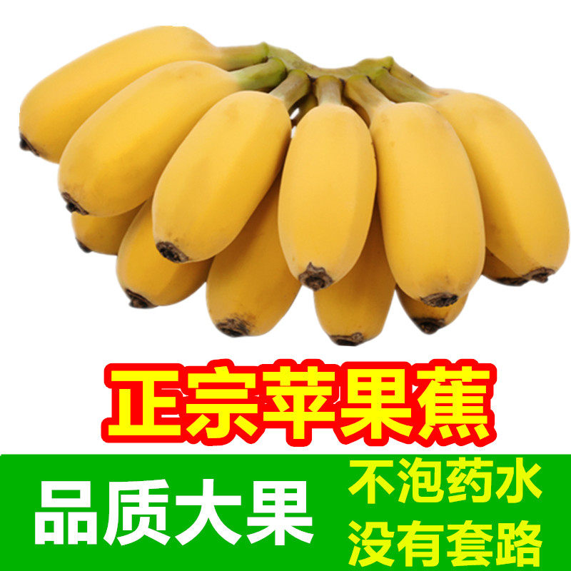 广西苹果蕉大果新鲜水果