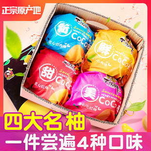 四大名柚子福建平和三红红心蜜柚新鲜黄皮水果红肉白肉礼盒可混选