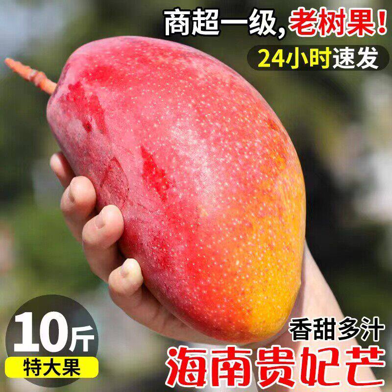 海南贵妃芒芒果新鲜10斤