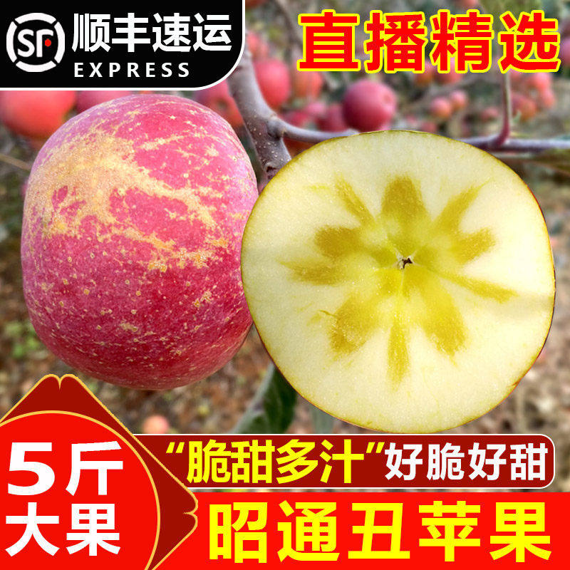 【直播】顺丰精品大果5斤云南昭通冰糖心丑苹果当季新鲜水果整箱,包装,水果包装,淘宝优惠券,粉丝福利购,淘宝优惠卷