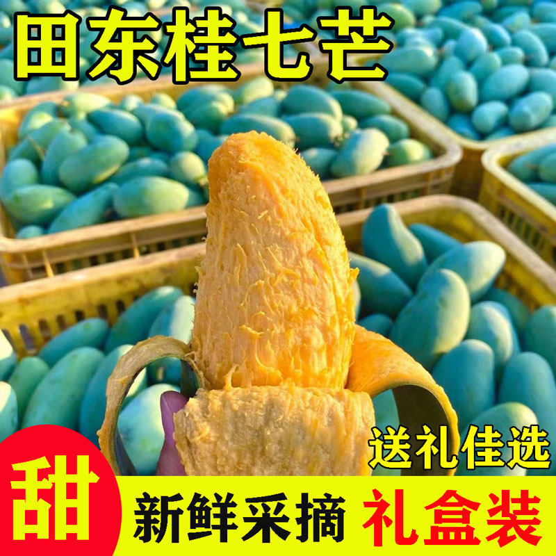 精品桂七香芒广西百色果