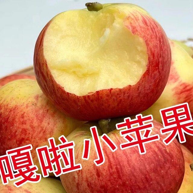 云南正宗米奇拉嘎啦苹果果肉粉面细嫩多汁孕妇老人小孩新鲜水果,包装,水果包装,淘宝优惠券,粉丝福利购,淘宝优惠卷