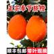 重庆奉节脐橙纽荷尔福本新鲜孕妇水果20礼盒10橙子当季 橙带叶特大