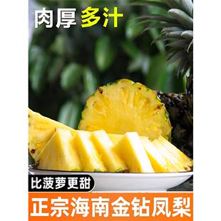 海南三亚金钻凤梨大果手撕菠萝新鲜树上熟现摘送礼当季水果礼盒装