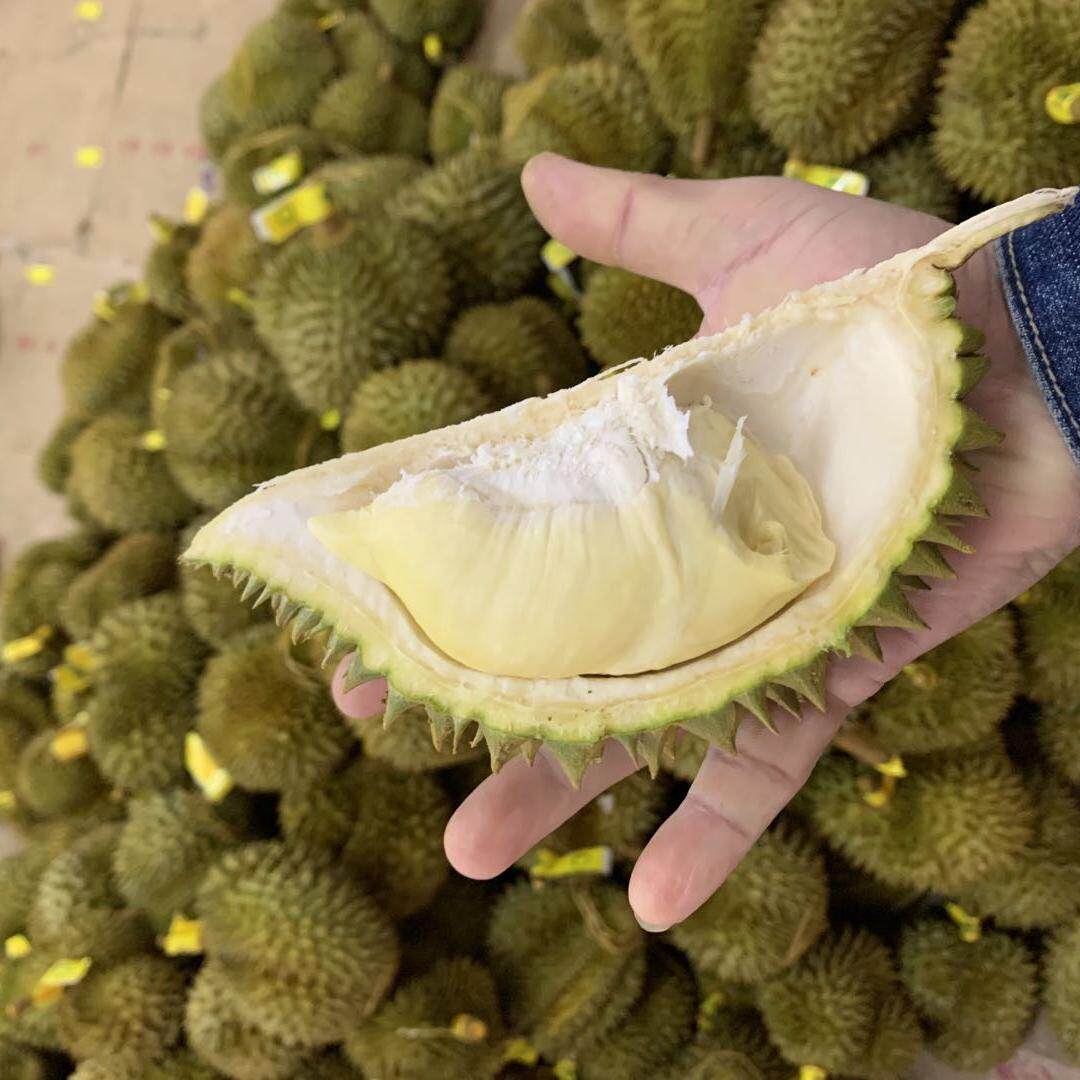 辉辉榴莲直发泰国老树小巴掌金枕单颗2.5-3.2斤核小果丑肉多软糯