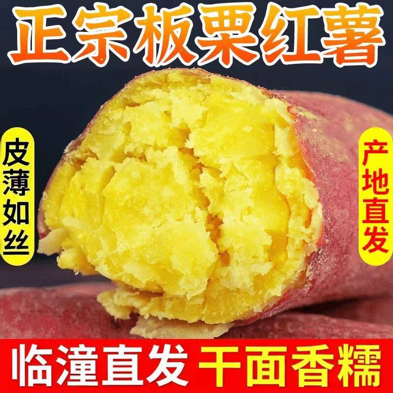 正宗陕西临潼板栗红薯农
