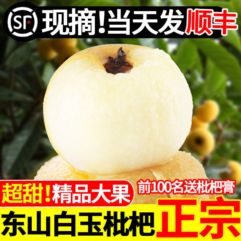 【超甜】苏州东山白玉枇