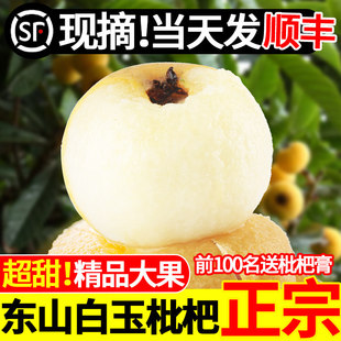 【超甜】苏州东山白玉枇杷新鲜孕妇水果应季冠玉青种琵琶白沙礼盒