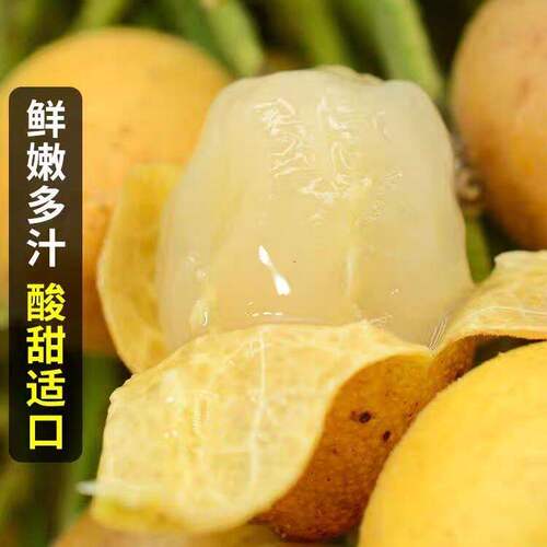 新鲜水果鸡心黄皮果广东