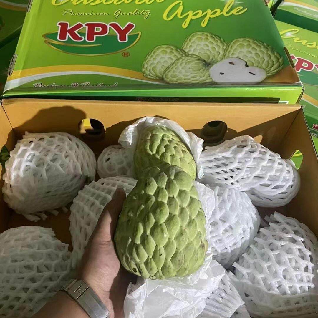 泰国kpy空运释迦新鲜水果