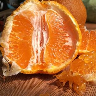 正宗四川浦江特级春见粑粑柑当季丑桔子耙耙柑孕妇水果10斤包邮橘