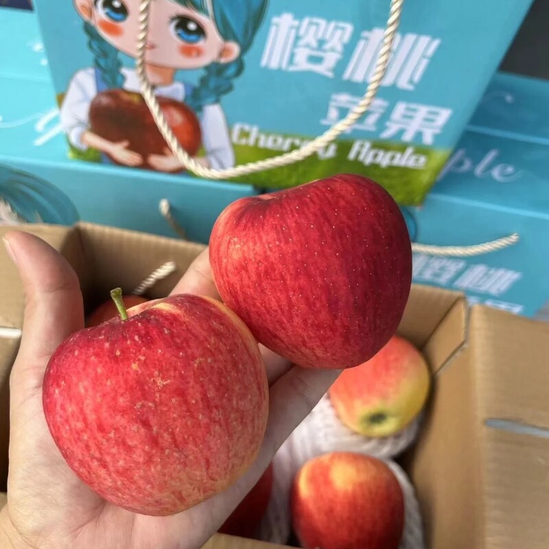 云南樱桃小苹果红露冰糖
