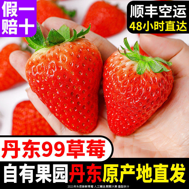 农彩汇丹东99红颜草莓新九九牛奶草莓东港奶油大草莓孕妇水果