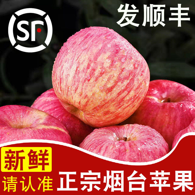 烟台苹果山东红富士正宗