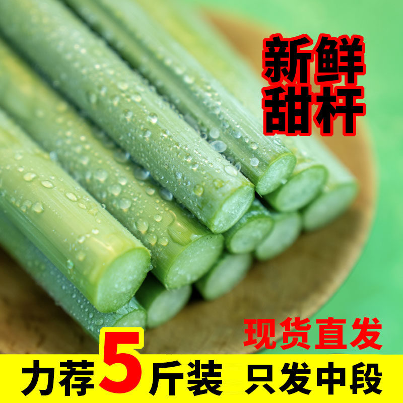 甜杆新鲜崇明甜芦粟儿现