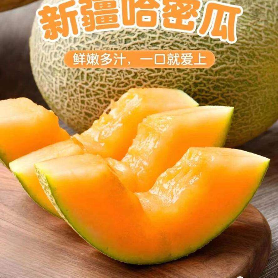 新疆哈密瓜新鲜应季蜜瓜2-3粒礼盒网纹瓜孕妇水果香瓜顺丰北京发