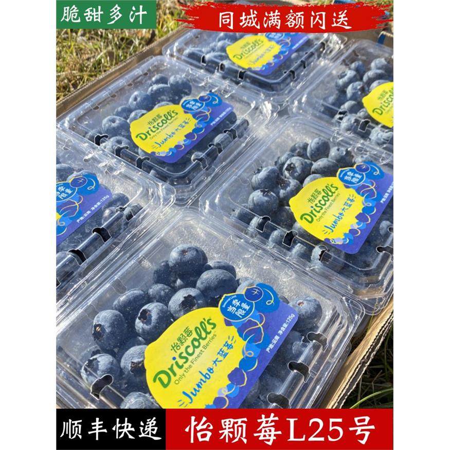 云南当季限量版怡颗莓蓝莓2盒起大果新鲜蓝莓孕妇水果L25蓝莓王,包装,水果包装,淘宝优惠券,粉丝福利购,淘宝优惠卷
