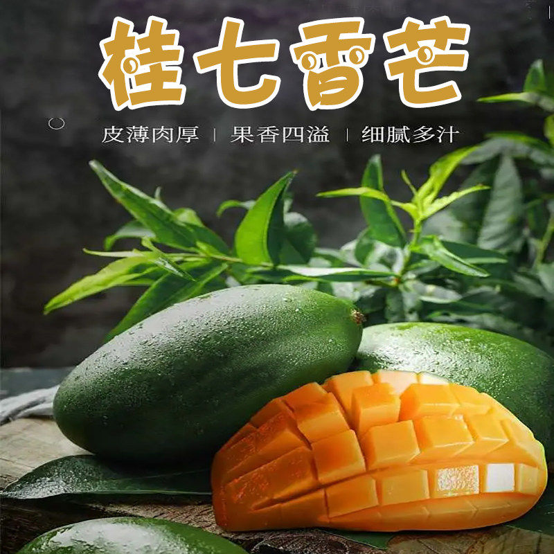 广西田东桂七芒果新鲜百