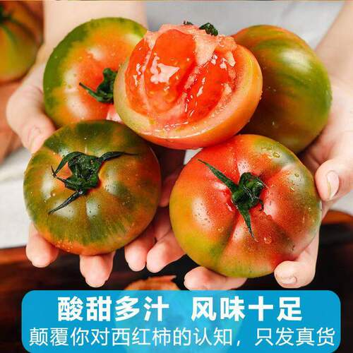 丹东草莓铁皮柿子西红柿