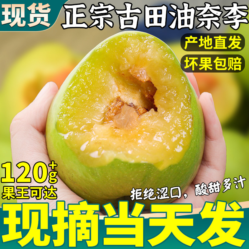 现货大果10斤古田油奈李