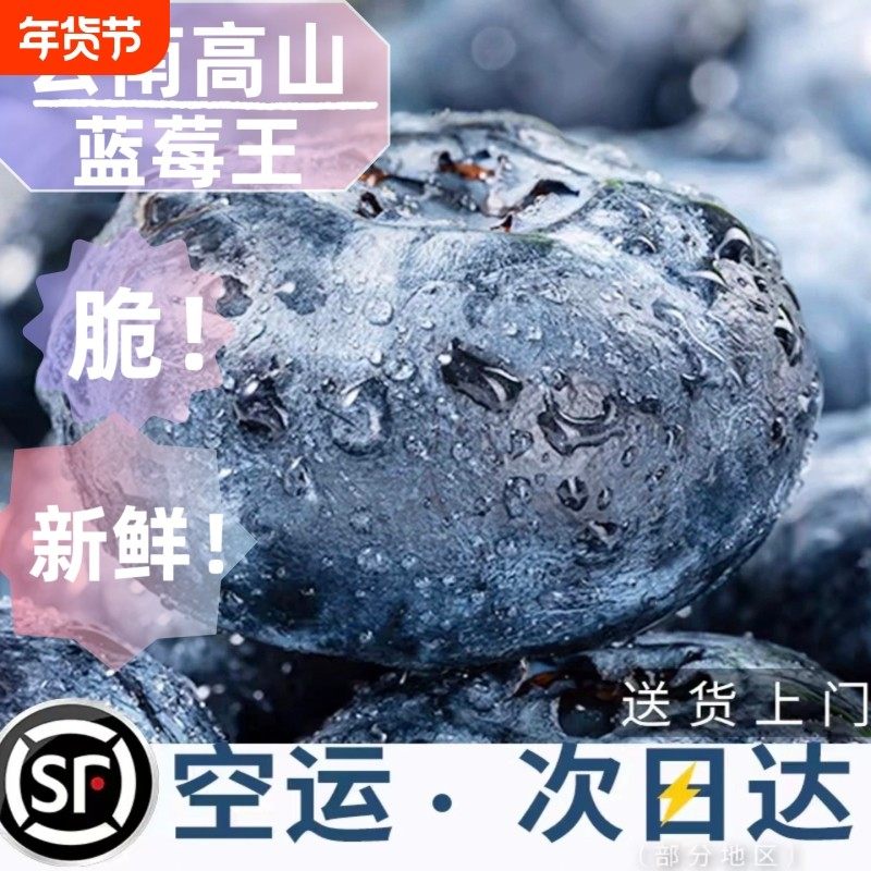 云南蓝莓鲜果新鲜高端水果当季大颗高山花香蓝莓孕妇整箱顺丰空运,包装,水果包装,淘宝优惠券,粉丝福利购,淘宝优惠卷