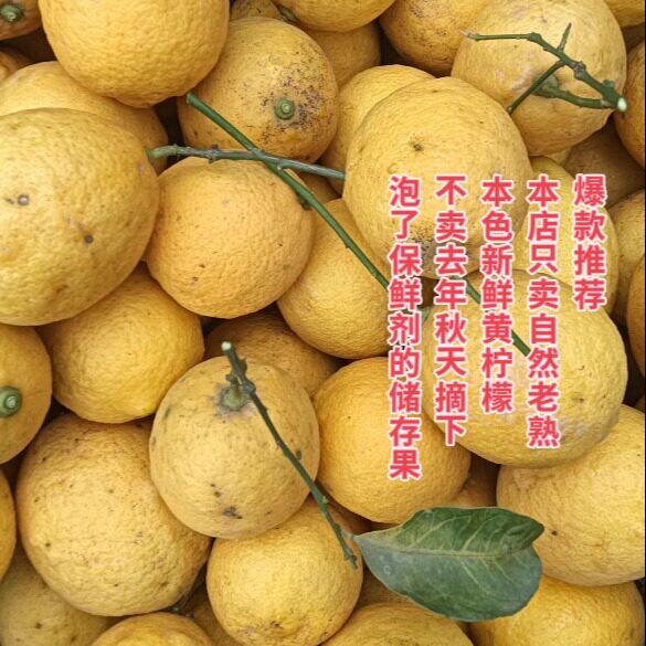 安岳农家自然熟野黄柠檬