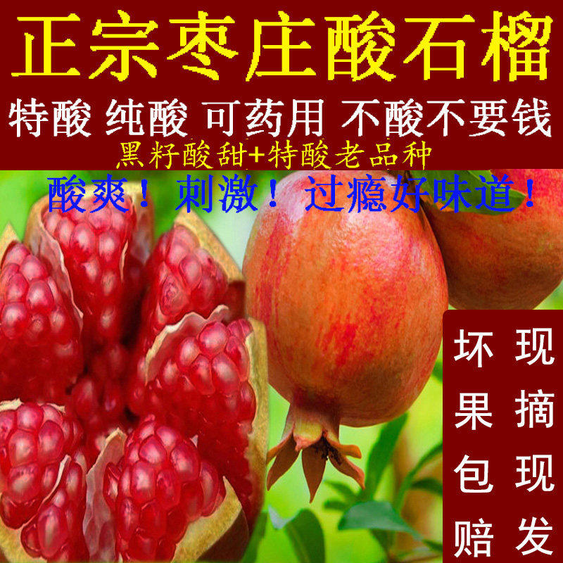 枣庄当季酸石榴孕妇水果新鲜包邮现货黑籽半口酸甜特酸纯酸泡酒