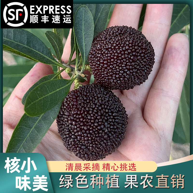 浙江兰溪杨梅鲜果荸荠黑