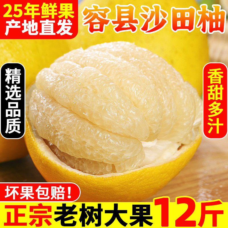 广西容县沙田柚12斤新鲜水果当季白心甜柚药柚子蜜柚老树大果包邮