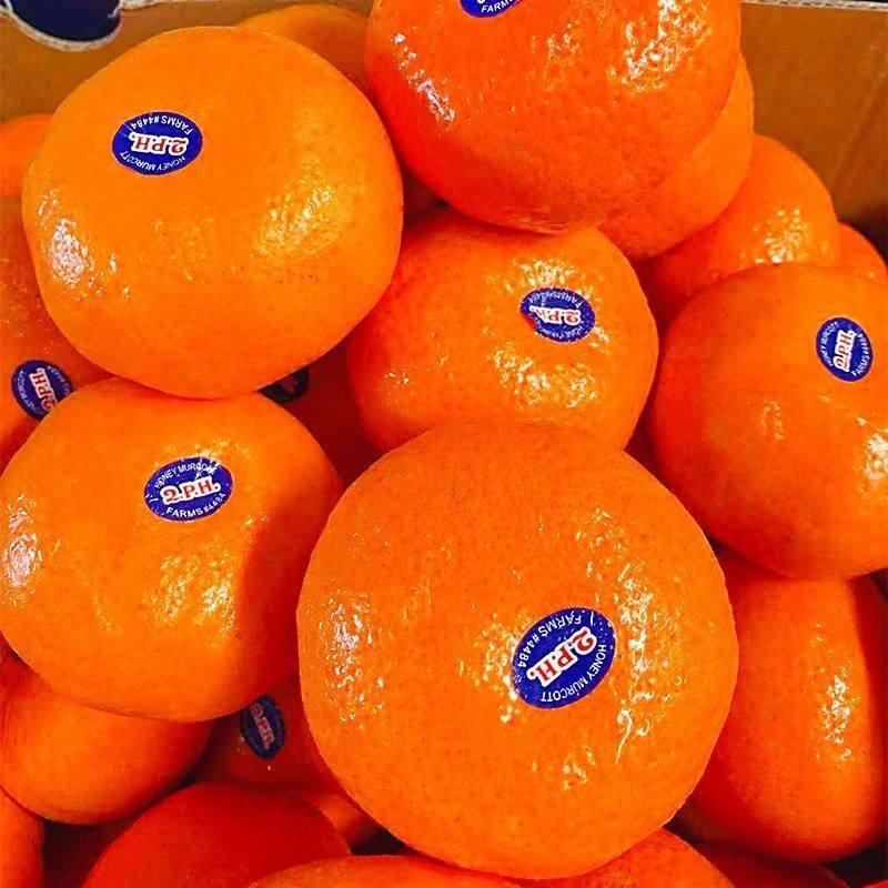 新货澳洲进口2PH蜜柑桔3斤当季新鲜水果沃柑澳柑蜜桔橘子,包装,水果包装,淘宝优惠券,粉丝福利购,淘宝优惠卷