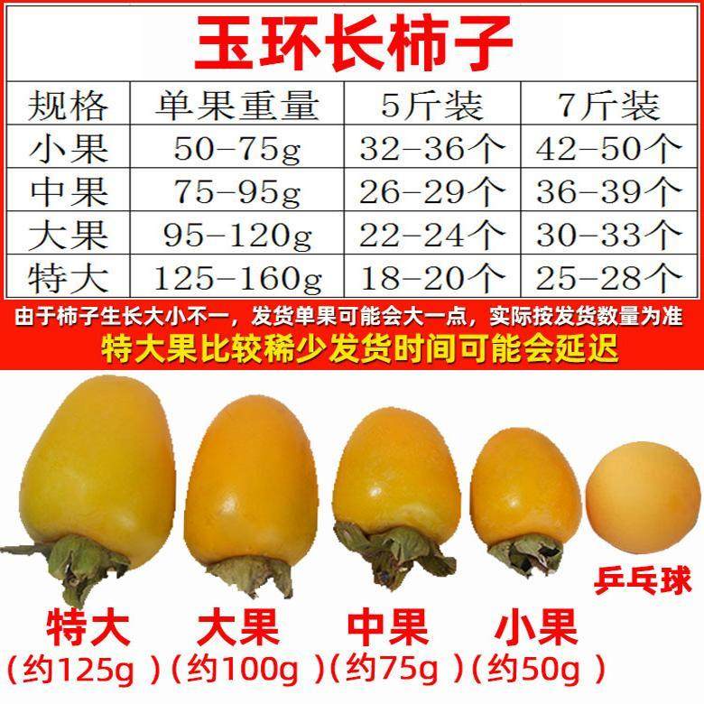 台州特产玉环长柿子新鲜水果红彤硬柿甜牛奶吊柿当季现摘可做柿饼