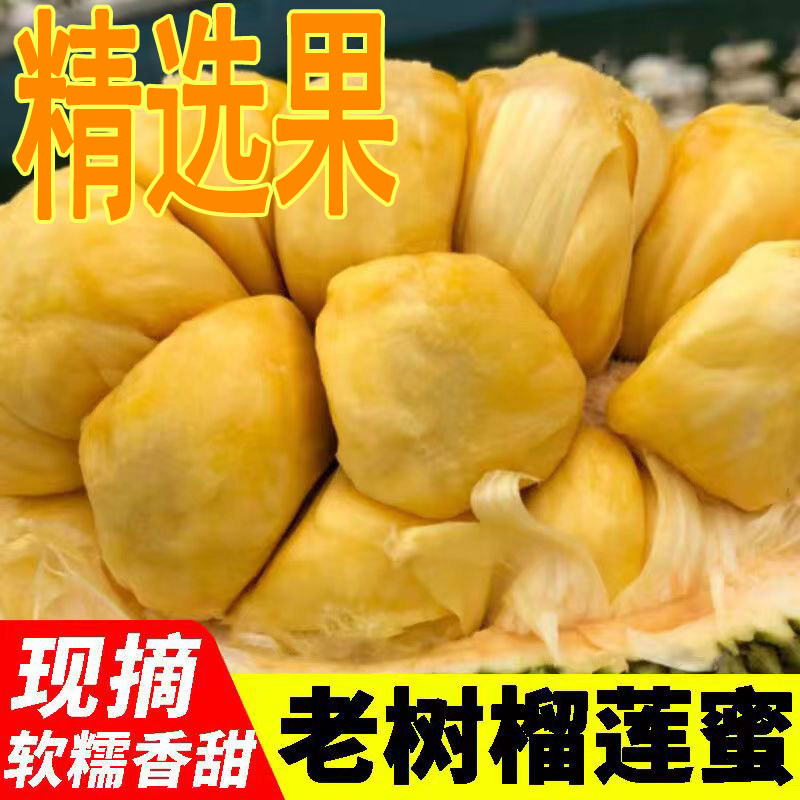 【产地直播】正宗海南榴