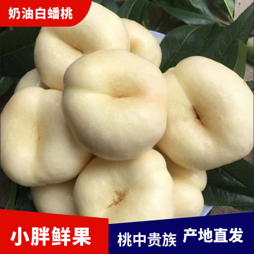 桃子新鲜蒙阴蜜桃奶油蟠