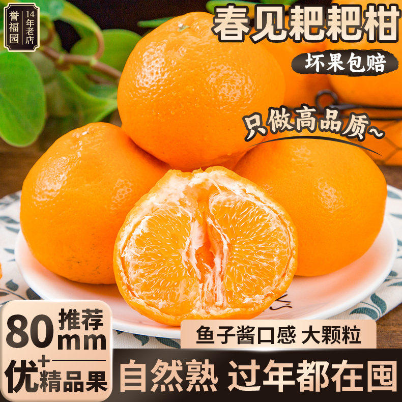 正宗四川春见耙耙柑粑粑柑杷杷柑新鲜水果整箱当季丑桔子橘斤甜10,包装,水果包装,淘宝优惠券,粉丝福利购,淘宝优惠卷