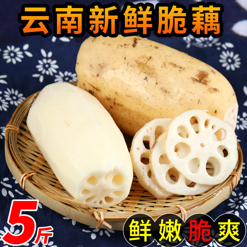 云南脆藕特色美食新鲜当