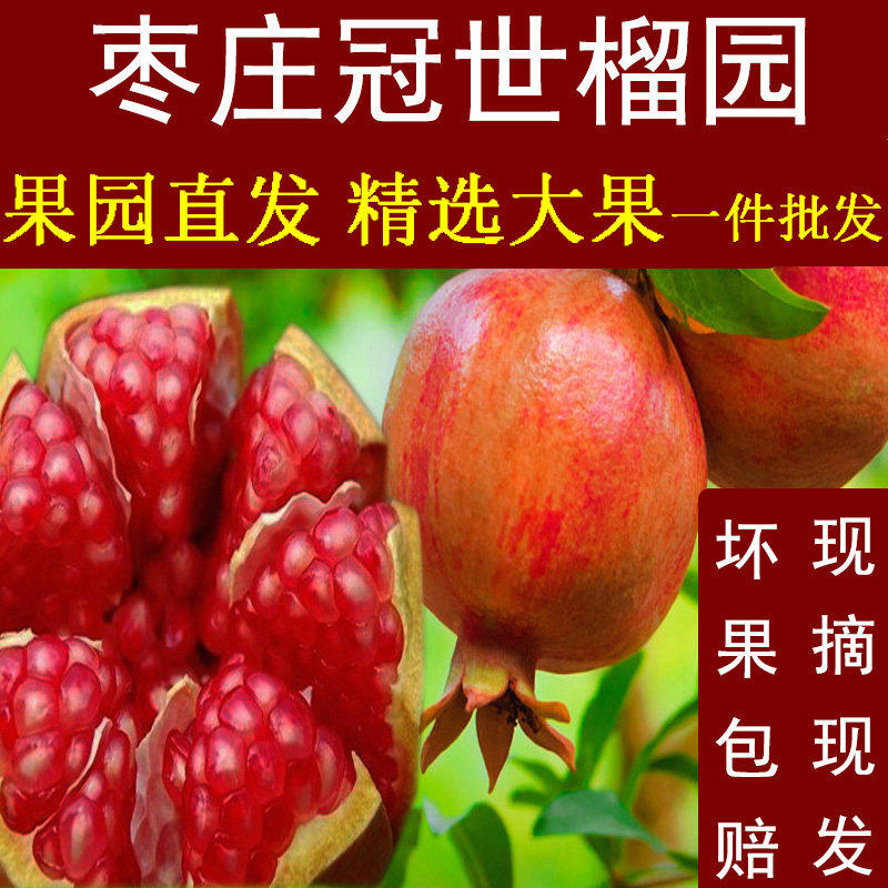 新鲜现摘山东枣庄特产峄城大马牙甜石榴突尼斯软籽无籽特大水果