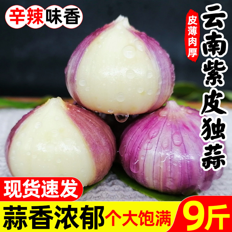独头蒜紫皮新蒜9斤大祘干